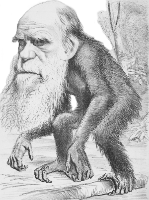 Darwin-Karikatur